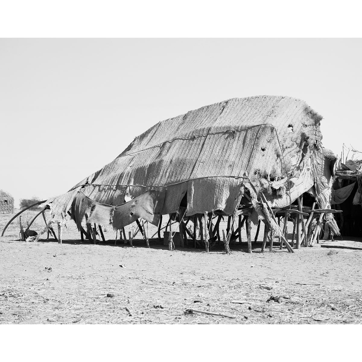 Winfried Bullinger - Beja Tent Covered with Mats