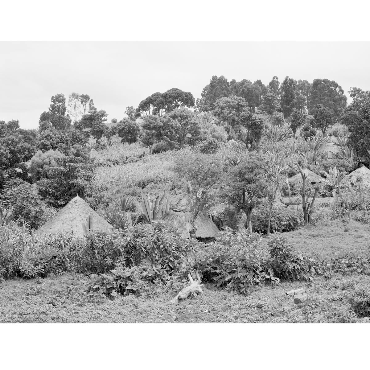 Winfried Bullinger - Mountain landscape in the Maji Woreda area in southwestern Ethiopia, the settlement area of the Dizi